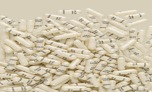 Quelles sont les connaissances sur les capsules de gélatine dure vides ?